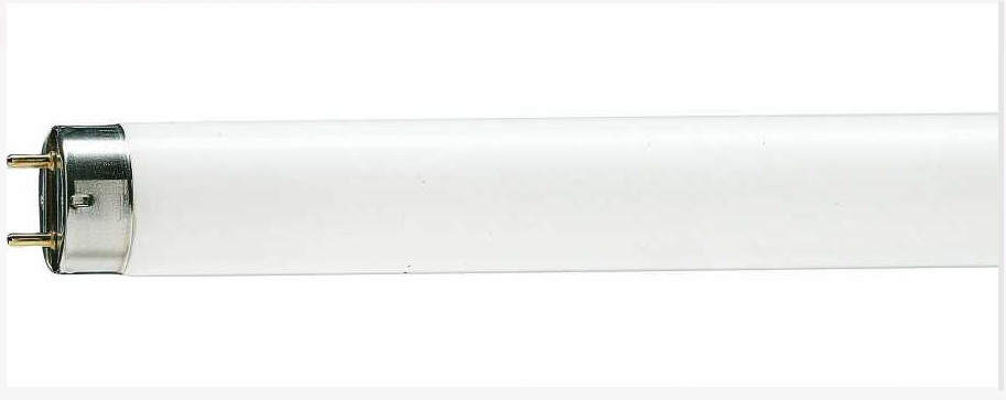Philips 928048045019 Master Tl-D 18W Snow White T8 Floresan