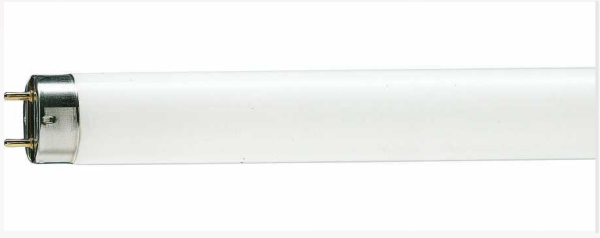 Philips 928048045019 Master Tl-D 18W Snow White T8 Floresan