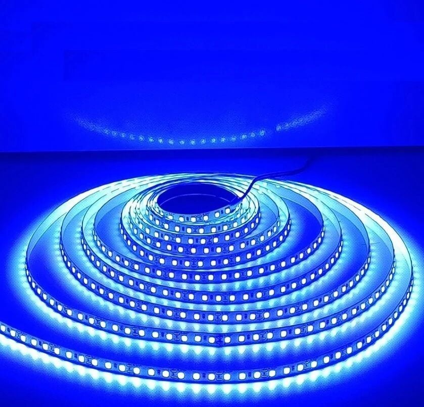 Cata CT-4484 10 Çip Şerit Led İç Mekan (Mavi)