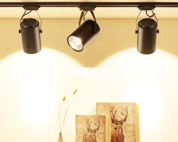 Cata CT-5334B 30W Babil Led Armatür (Siyah Kasa)(6500K)