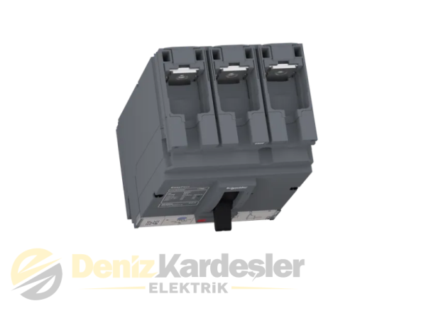 SCHNEİDER CVS250F TM200D 3P3D