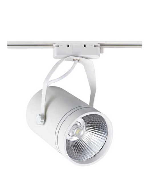 Ack AD30-01900 30W Beyaz 3000K Cob Led Monofaze Ray Armatürü