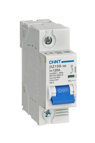 Chint 158087 Dz158 1 Kutup 10Ka C/100A Otomatik Sigorta