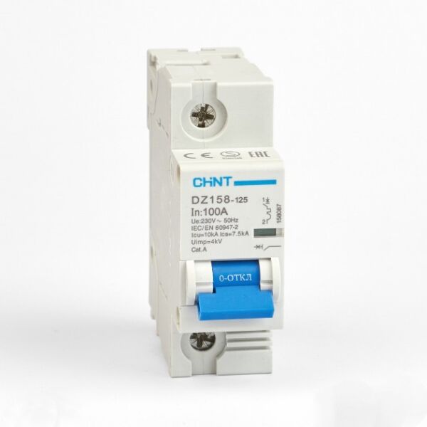 Chint 158087 Dz158 1 Kutup 10Ka C/100A Otomatik Sigorta