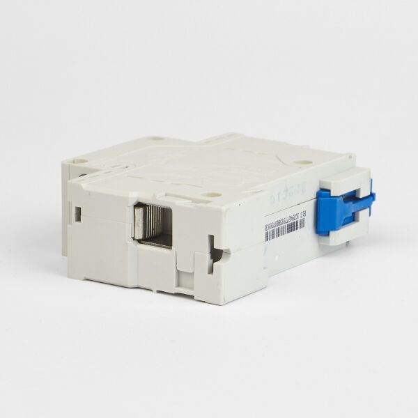 Chint 158087 Dz158 1 Kutup 10Ka C/100A Otomatik Sigorta