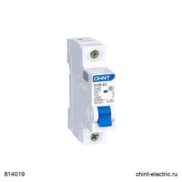 Chint 814019 Nxb 1 Kutup 6Ka C/50A Otomatik Sigorta