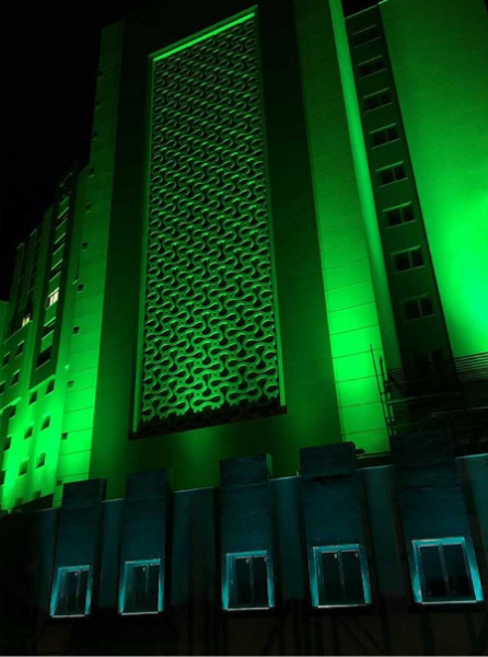 Ack AT20-00953 9X1W Yesıl Ip65 27Cm Led Wallwasher